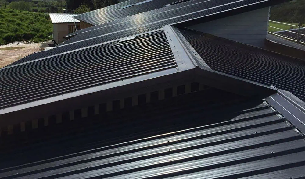 Professional technician applying advanced coating system with specialized equipment